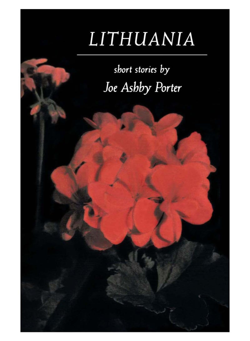 Lithuania paperback english - 33147