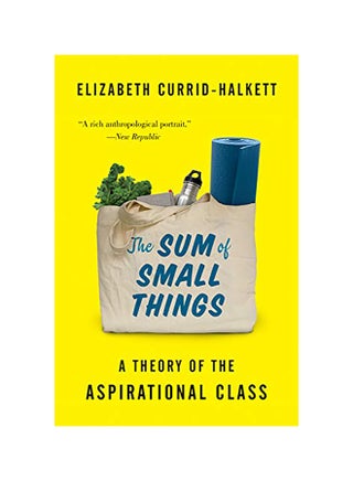 The Sum Of Small Things: A Theory Of The Aspirational Class Paperback English by Elizabeth Currid-Halkett - v1558353484/N25972571A_1