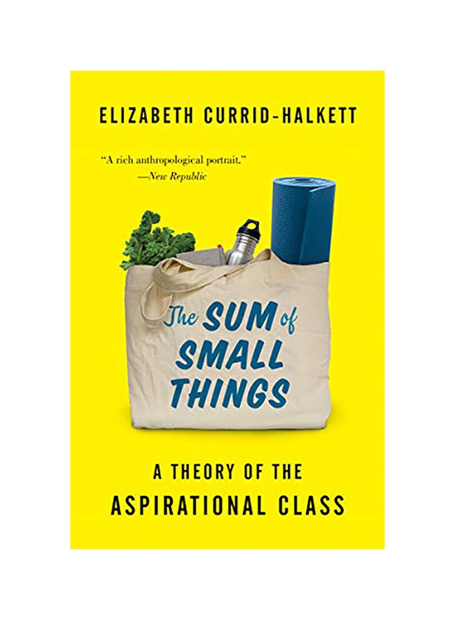 The Sum Of Small Things: A Theory Of The Aspirational Class Paperback English by Elizabeth Currid-Halkett