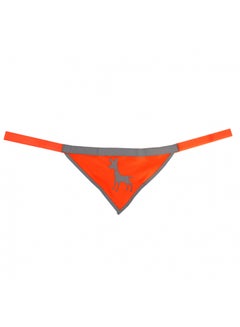 Visibility Dog Bandana, Small - Neon Orange Multicolour