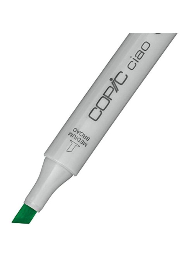 Copic Marker Ciao Marker With Replaceable Nib Spectrum Green - Image 2