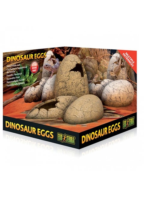 Fossil Hide Out Dinosaur Eggs
