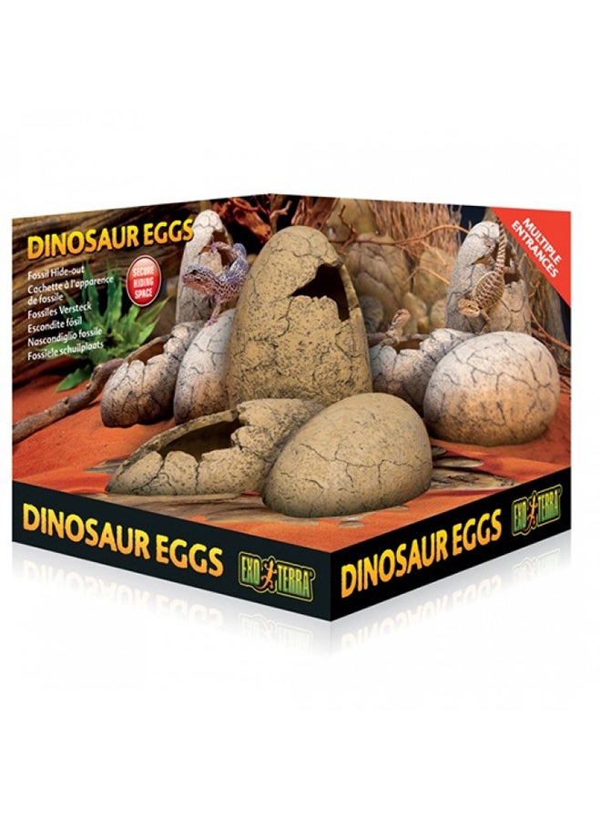 Fossil Hide Out Dinosaur Eggs