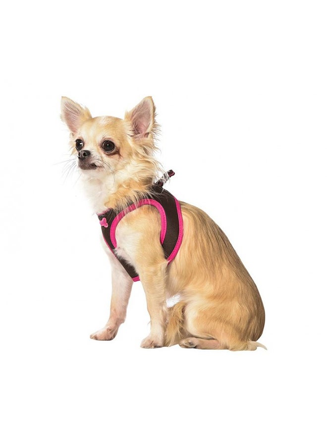 حزام تثبيت صغير أرليكوين