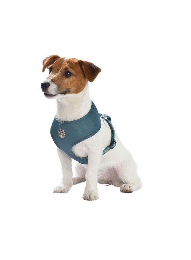 Bobby Asanoha T Shirt Harness 