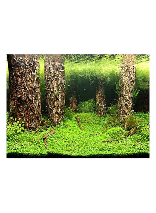 صورة بخلفية بتصميم تلال وغابات سكابر 120x50سم