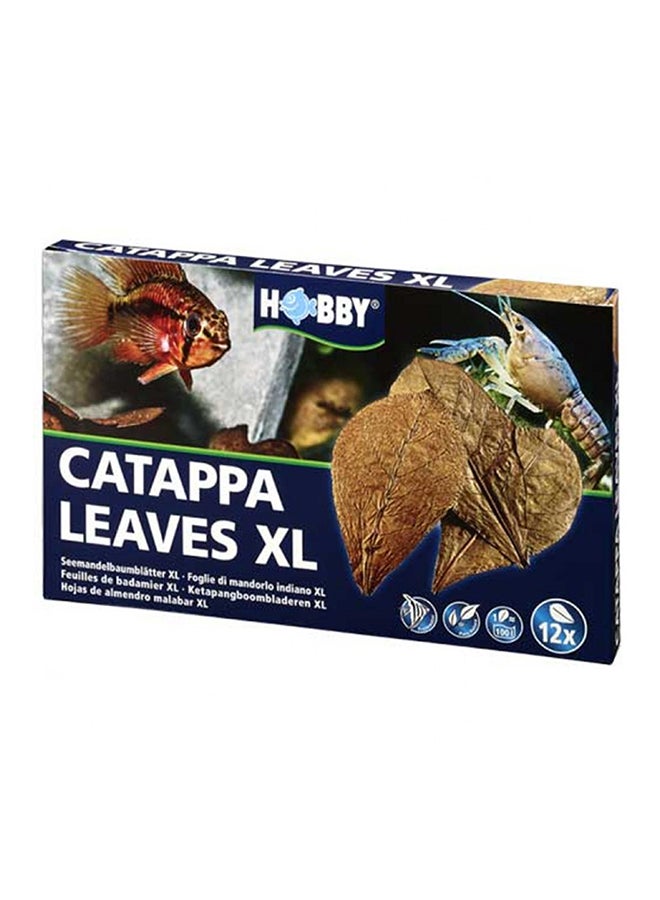 12 Piece Catappa Leaves Xl - v1558508305/N26001458A_1