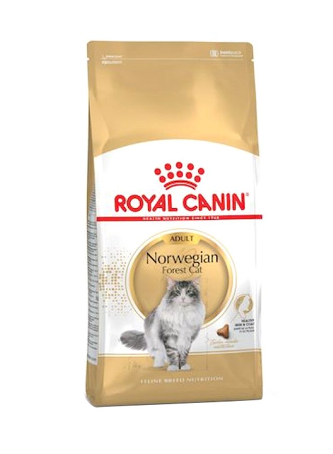 رويال كانين طعام فيلاين للتغذية الصحية لقطط الغابات النرويجية 2كيلوجرام