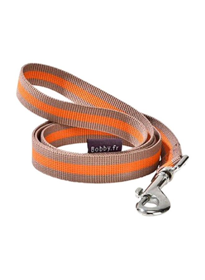 Arlequin Lead