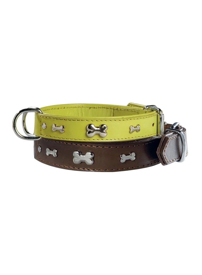Summer Collar Assorted
