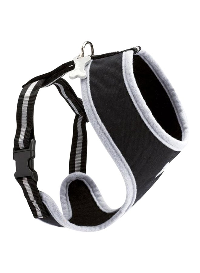 Arlequin Fancy Harness