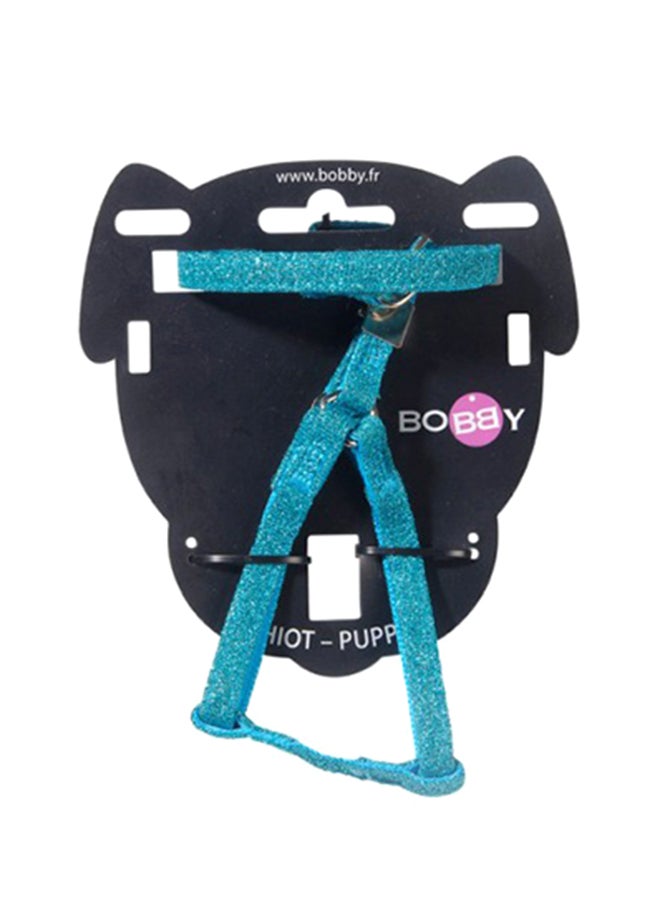 حزام ديسكو وحبل للجرو