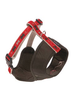 Bobby Kyrielle Harness T Shirt 