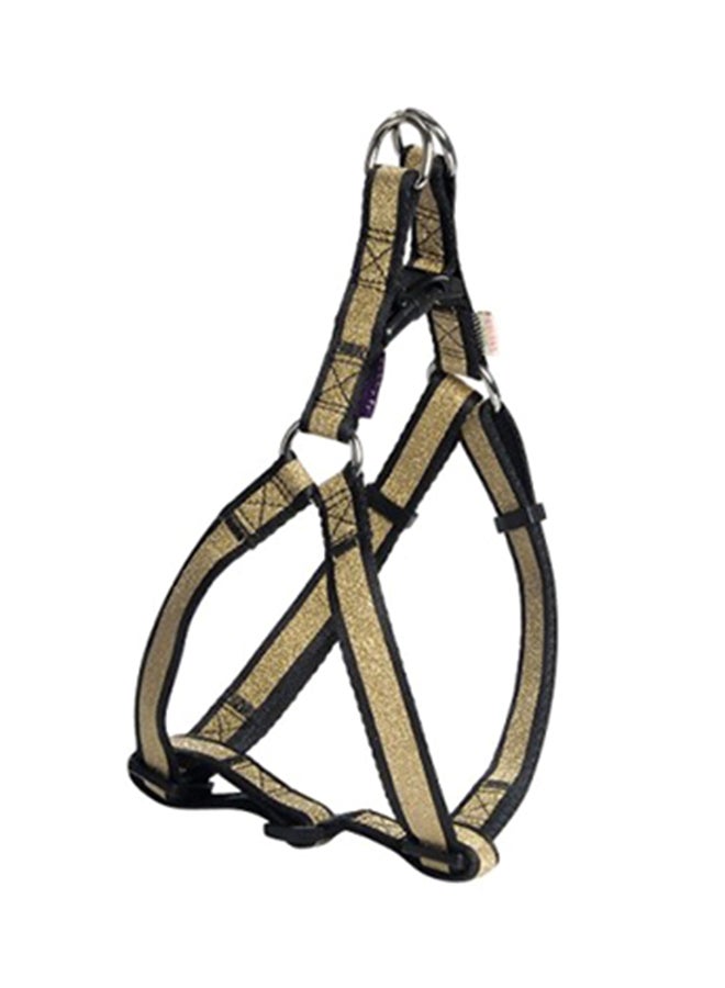 بوبي حزام صدر باباجايو