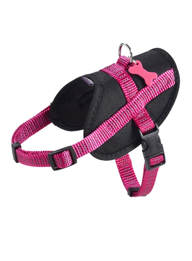 Easy Safe Harness