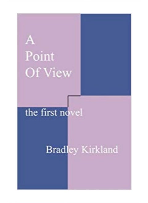 A Point of View: The First Novel paperback english - 1/26/2000