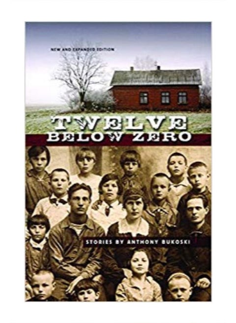 Twelve Below Zero paperback english - 9/1/2008