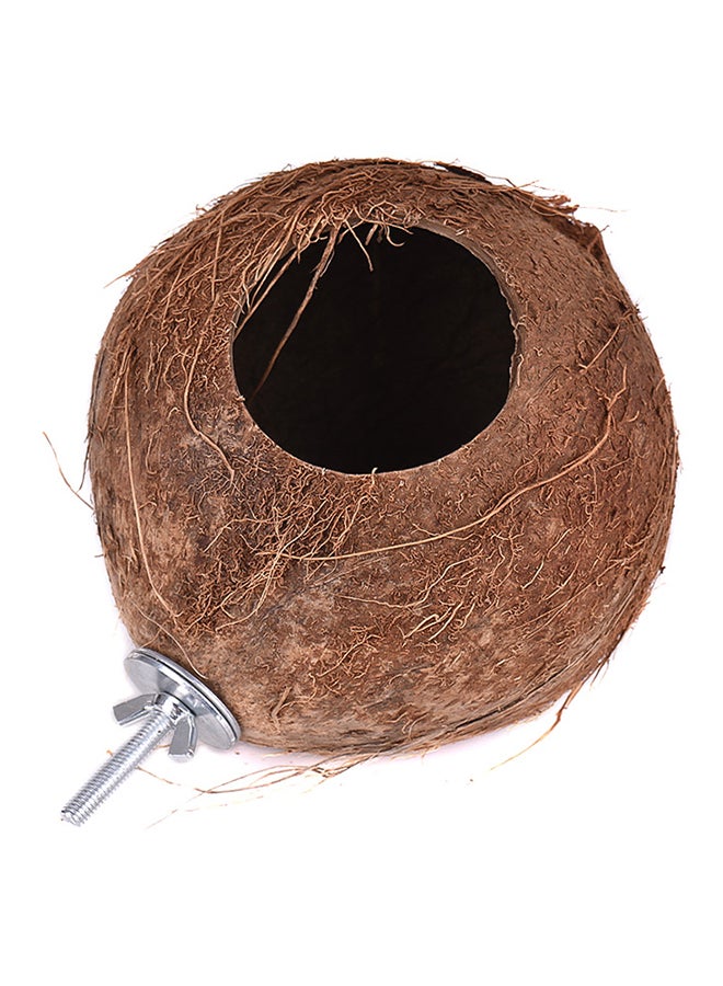 Generic Coconut Bird House Nest Brown 18x15x15cm  - Image 2