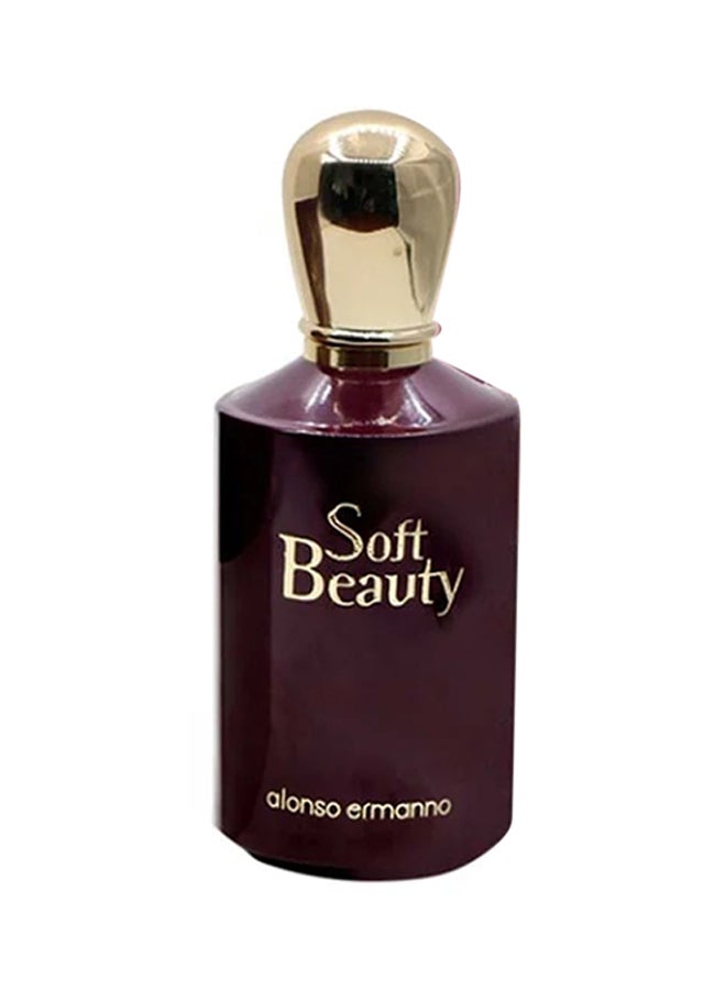 Alonso Ermanno Soft Beauty EDP 100ml  - Image 1