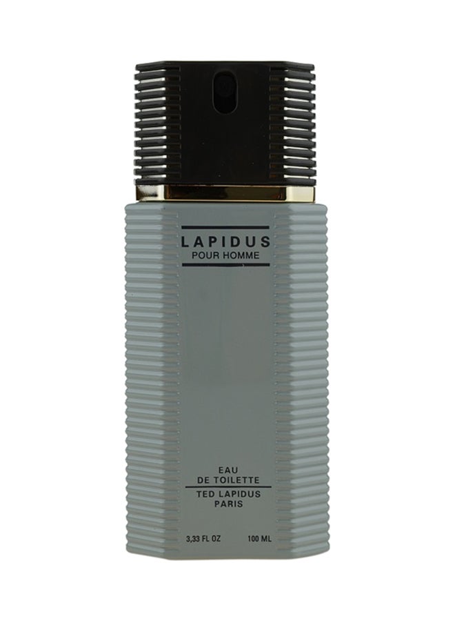 TED LAPIDUS - Lapidus EDT 100ml - Image 1