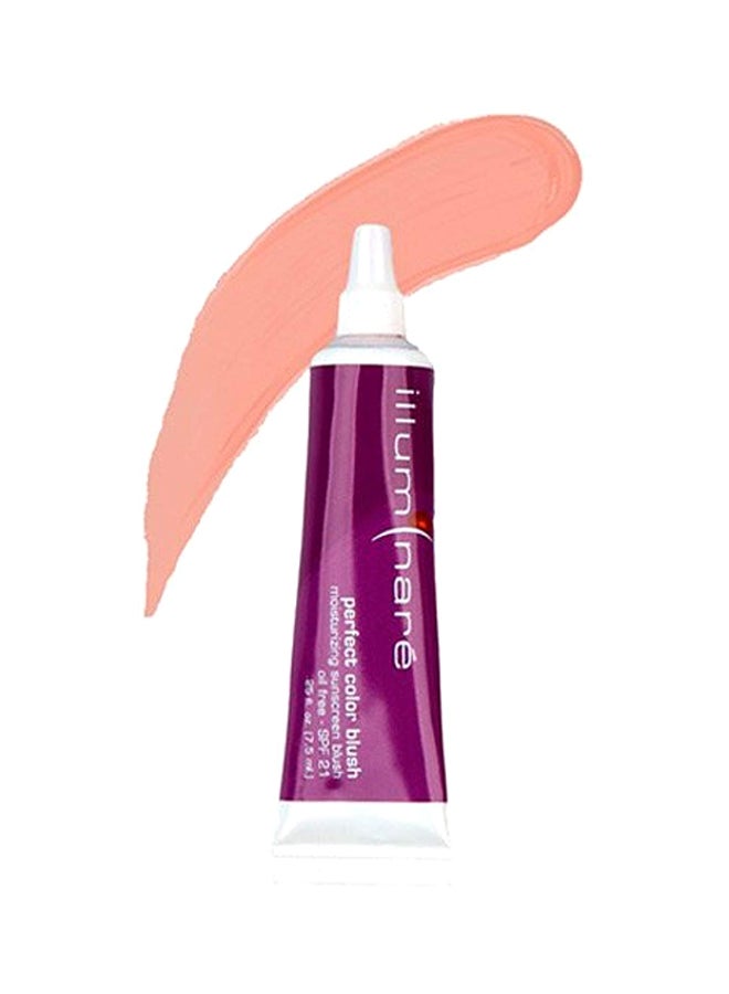 Perfect Color Blush Beige