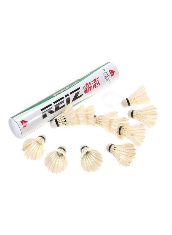 Generic 12-Piece Badminton Shuttlecocks Set With Storage Tube 
