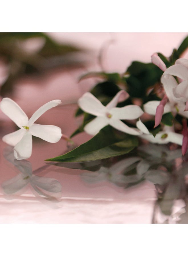 GUCCI - Bloom EDP 50ml - Image 1