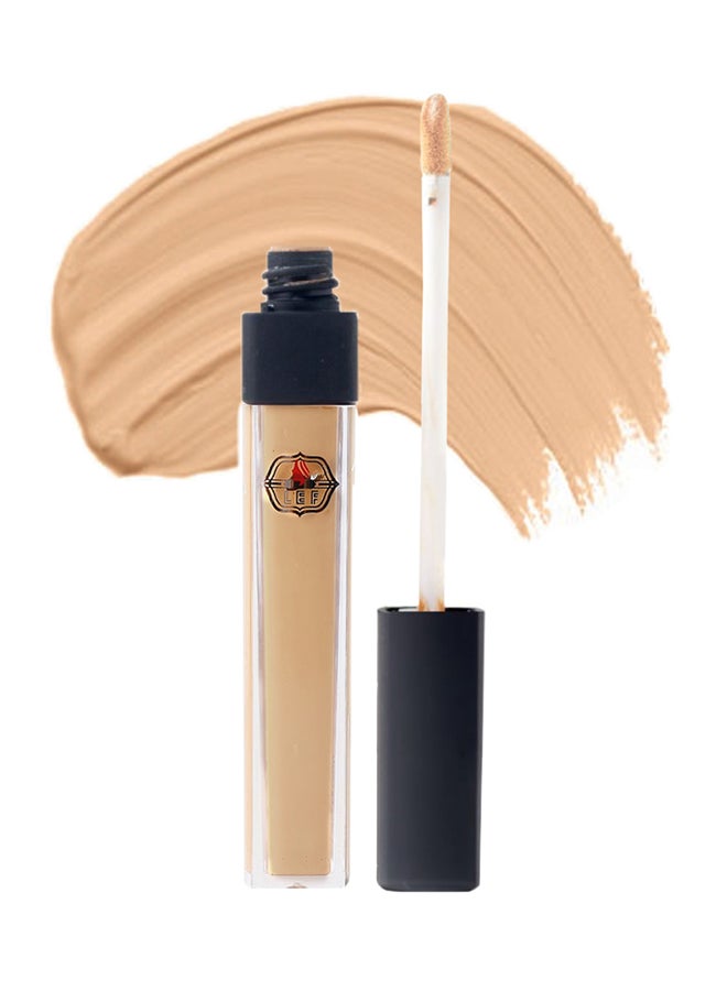 LEF Radiant Creamy Concealer NC37 - Image 1
