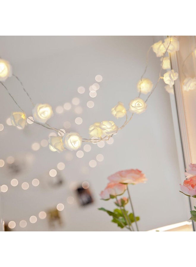 بيوينتي حبل إضاءة مزود بـ 20 مصباح LED بتصميم زهور بإضاءة بلون دافئ أبيض 9x22سم - Image 3