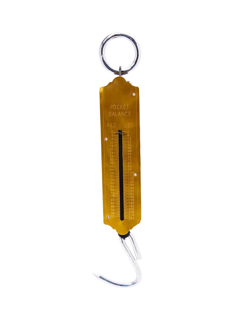 Royalstar Pocket Balance Spring Weight Scale Gold  - Image 1