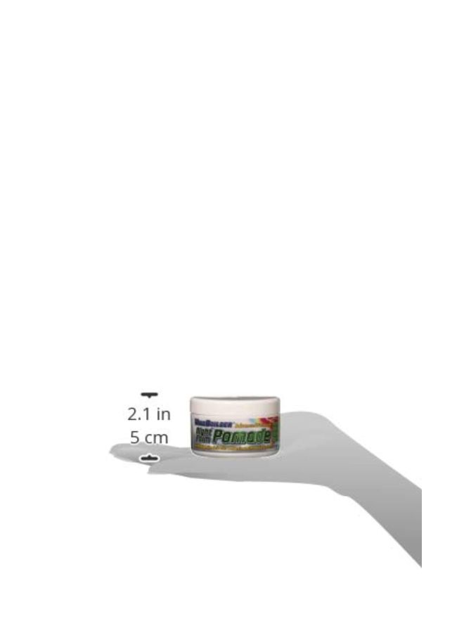 Night Form Advanced Formula Pomade