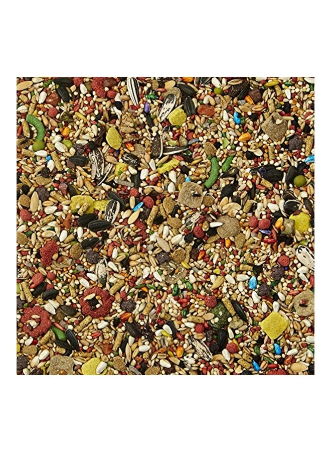 كايتي طعام فييستا لببغاء كوكاتيل أسود/أحمر 0.9كيلوجرام - Image 3