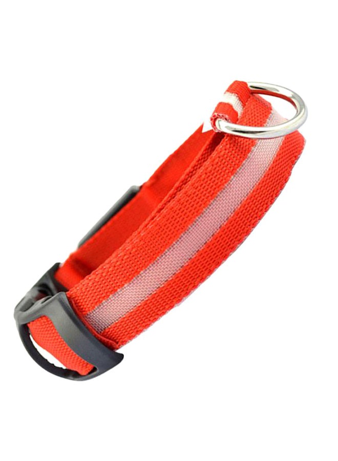 طوق أمان مزود بإضاءة LED تومض أثناء الليل ومناسب للحيوانات الأليفة برتقالي S/M