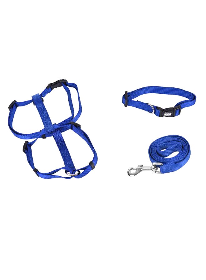 طقم طوق ومقود للكلاب من 3 قطع أزرق XS/S/M/L - Image 2