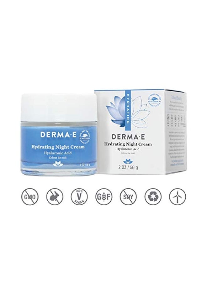 derma-e Hydrating Night Cream White - Image 2