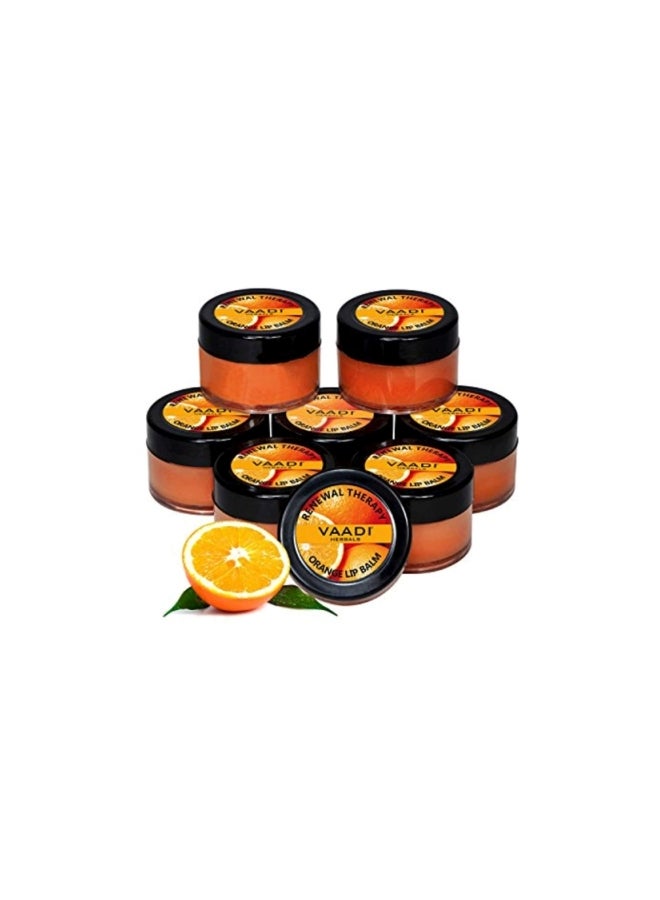 VAADI HERBALS - Pack Of 8 Orange And Shea Butter Lip Balm - Image 1