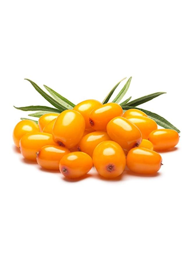 يو إس أورجانك زيت توت نبق البحر - Image 4