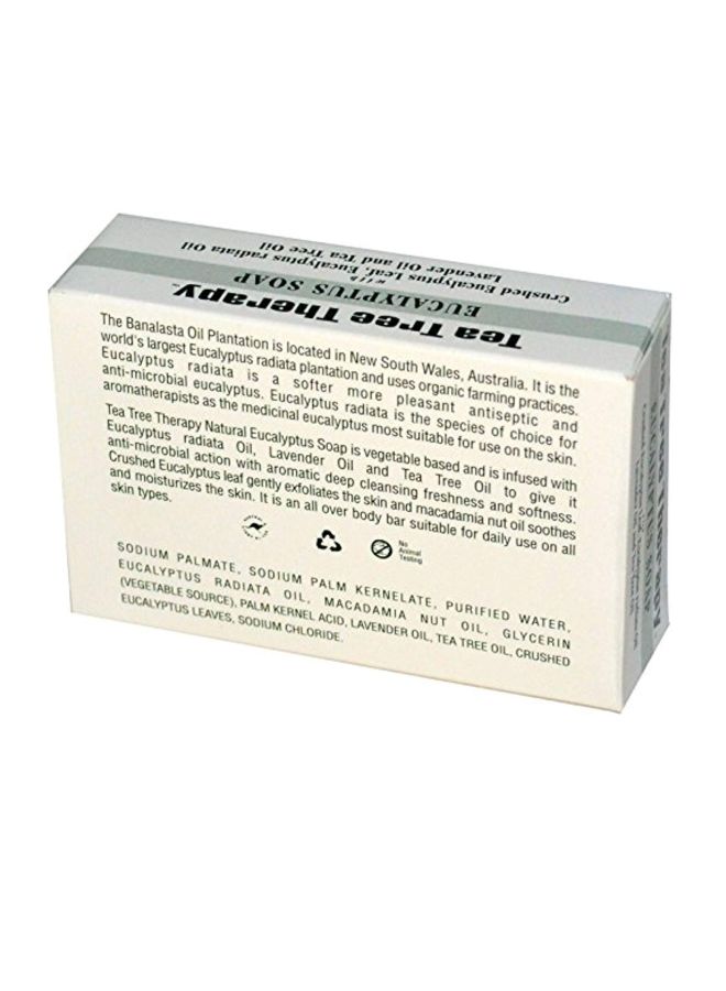 Tea Tree Therapy Vegetable Base Eucalyptus Soap Beige - Image 2