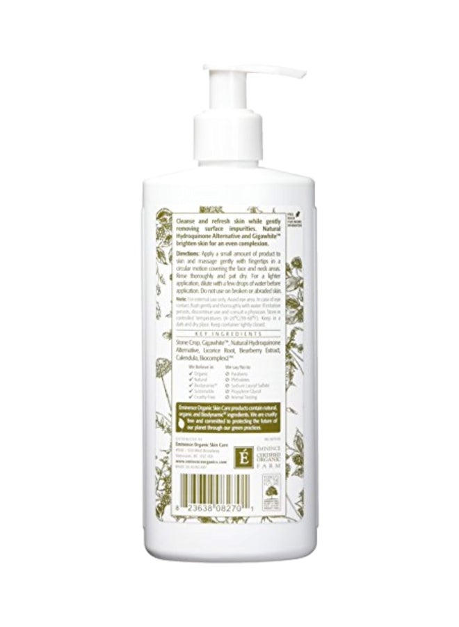 EMINENCE Bright Skin Cleanser - Image 2