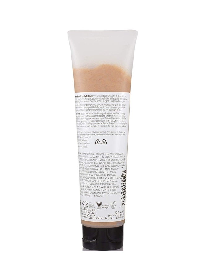 Max Green Alchemy Face Friendly Exfoliator  - Image 2