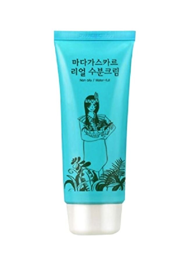 Sidmool - Madagascar Moisture Cream 80grams - Image 1