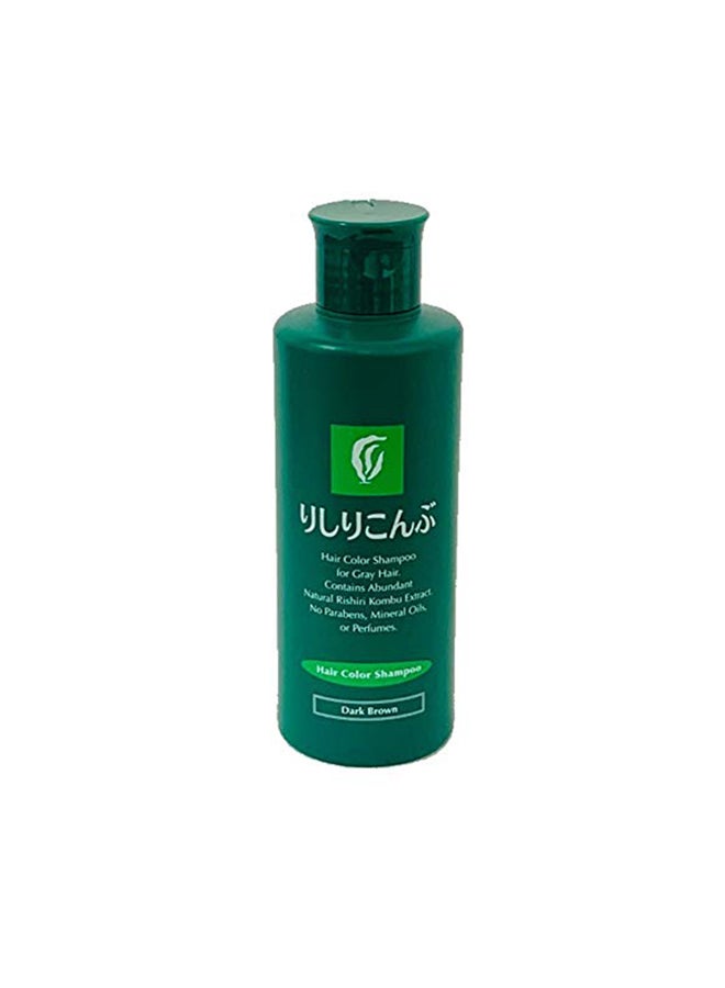 Hair Colour Shampoo