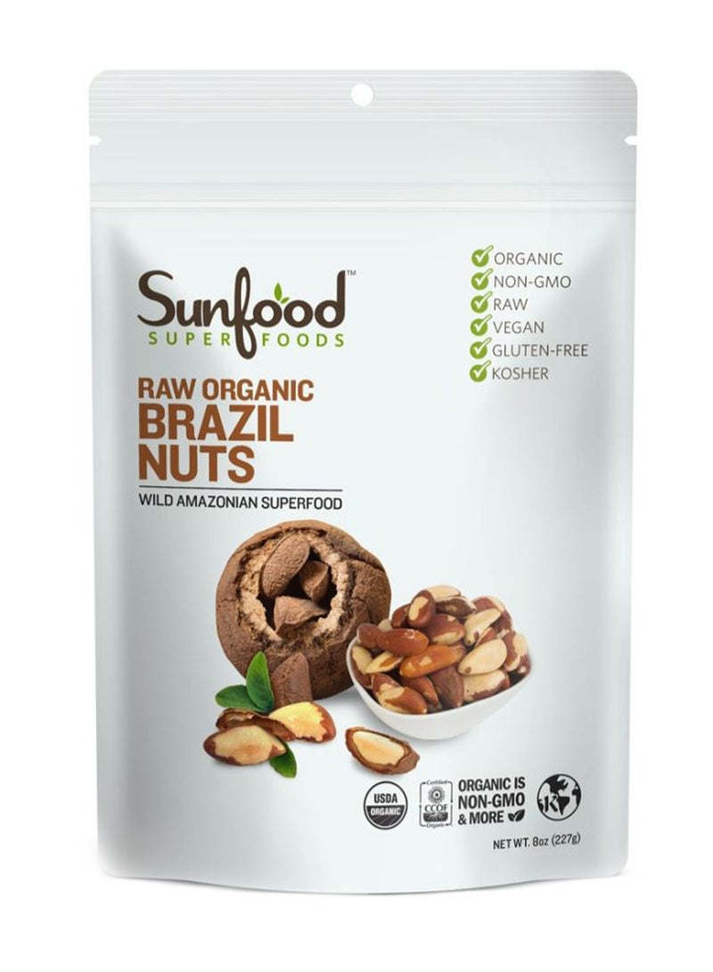sunfood superfoods Raw Organic Brazil Nuts 227grams - Image 1