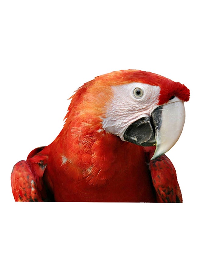 ملصق حمام بطبعة ببغاء أحمر 38 x 15 x 1سم - Image 1