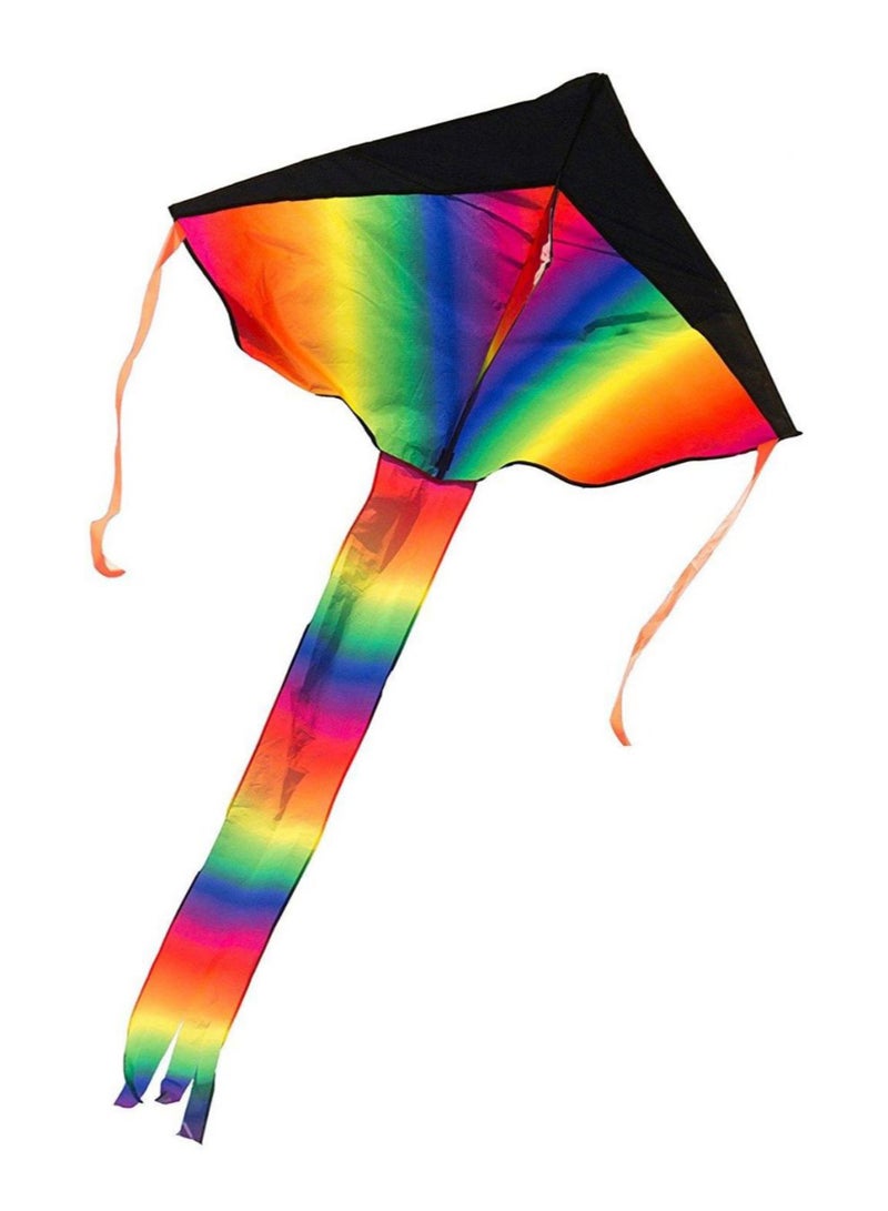 Unique Large Delta Flying Kite