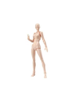 Human Body Joints Movable Dolls