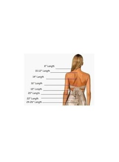 Clip In Human Hair Extension Black