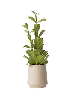 Artificial Plant With Ceramic Pot Green/White 65cm - v1560410030/N26065625A_1