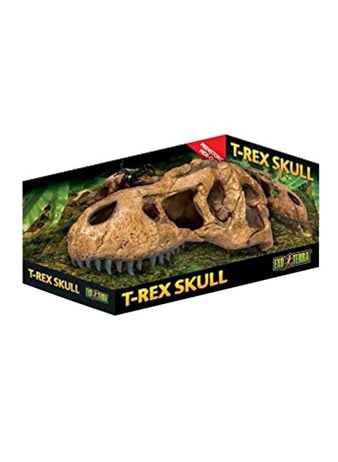 Decorative Terrarium T-Rex Skull Brown