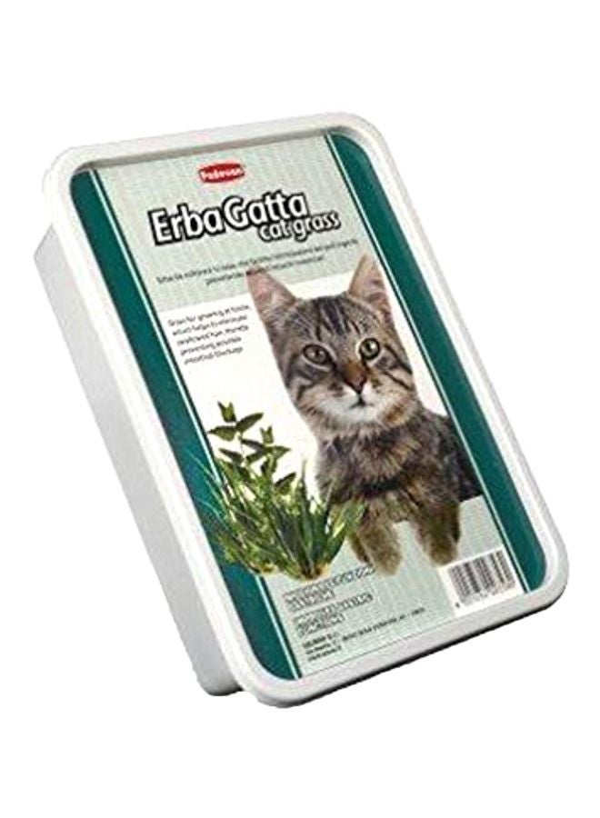 Erba Gatta Grass Green 141grams